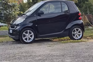   Smart 2010