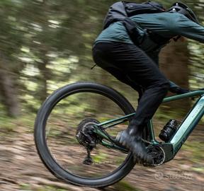 Bici pedalata assistita