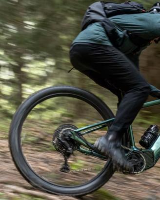 Bici pedalata assistita