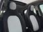 Immagine 8