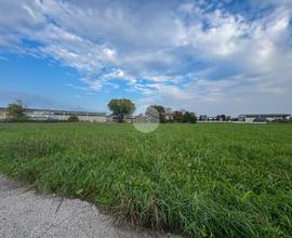 TERRENO A CASTEL GOFFREDO