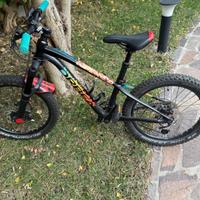 Orbea laufey