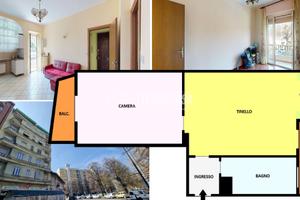 BILOCALE LIBERO SUBITO SU 2 ARIE CON CANTINA!