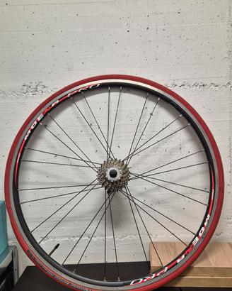 Ruota Posteriore Corsa Ambrosio Moena Pro 28"