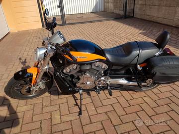 Harley-Davidson Street Rod 1130 (VRSCR) - 2005 | S