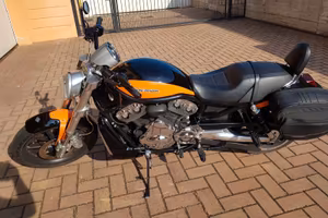 Harley-Davidson Street Rod 1130 (VRSCR) - 2005 | S