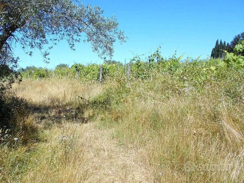 Immobile in asta di 357673 m² a Siena - Vista 2