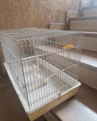 gabbia per uccellini