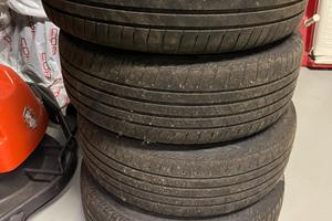 Gomme estive r15