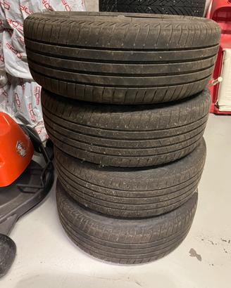 Gomme estive r15