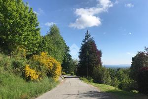TER. RESIDENZIALE A STRONA