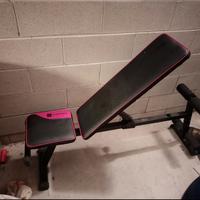 panca decathlon e carnielli 