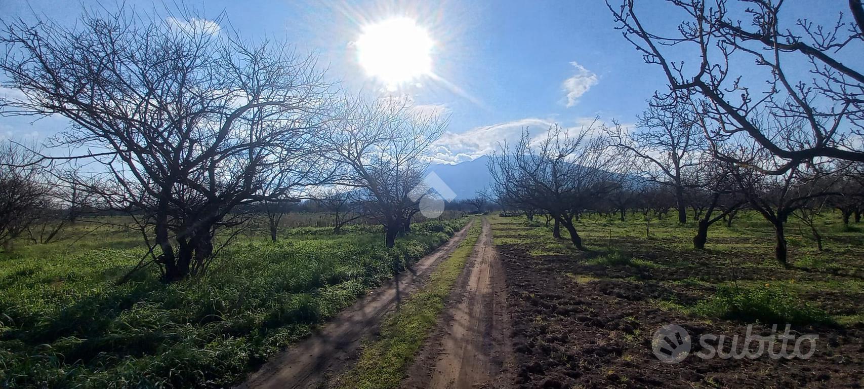 TER. AGRICOLO A SANT'ANASTASIA - Vista 5
