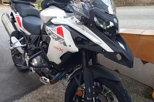 Benelli 502 in perfette condizioni 