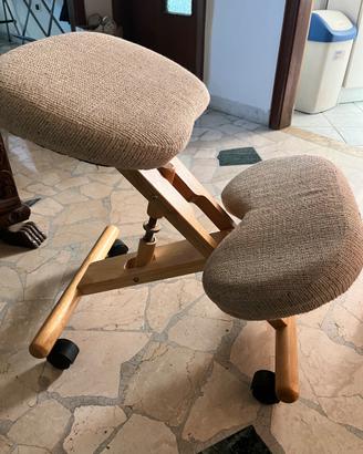 Sedia ergonomica