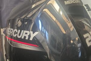 Motore fuoribordo mercury 25 cv