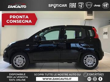 FIAT Panda 1.0 FireFly S&S Hybrid Pop 65cv