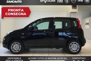 FIAT Panda 1.0 FireFly S&S Hybrid Pop 65cv