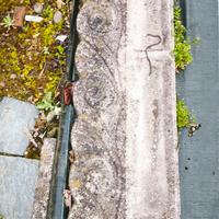 bordo decorativo in cemento 