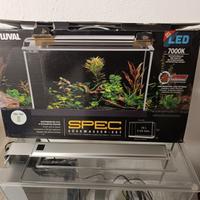 Acquario Fluval 18 L