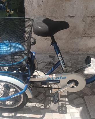 Triciclo elettrico
