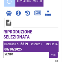 Cuccioli PMAbruzzese