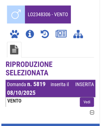 Cuccioli PMAbruzzese