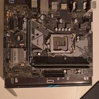 Scheda Madre Asus Prime H310M-AR2.0 +Kimgstom16GB
