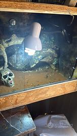 terrario