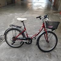 Bicicletta 24' 