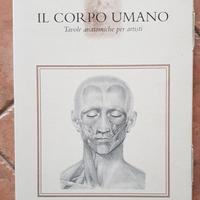 Libro di tavole Anatomiche, Il corpo umano 