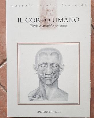 Libro di tavole Anatomiche, Il corpo umano 