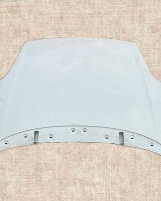 Cofano grande Fiat Punto