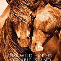 Libro sui cavalli The wild horses of sable island