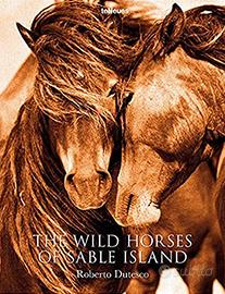 Libro sui cavalli The wild horses of sable island