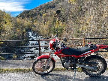 Beta Alp 4.0