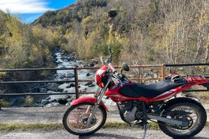 Beta Alp 4.0