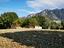 Immagine 28