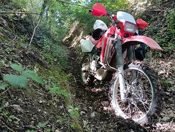 Honda XR 650 R