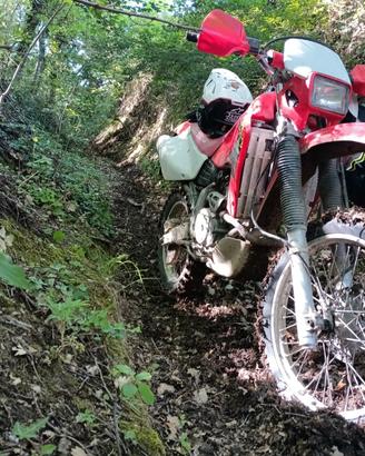 Honda XR 650 R/Enduro