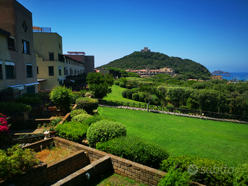 Punta Ala: Mono-Bilocale:Novembre,Agosto,Settembre