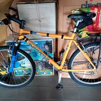 Mountain bike Kastle 