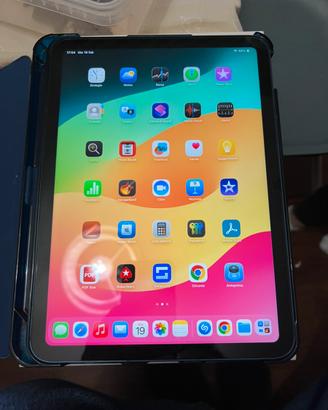Ipad 10 generazione 256 wi fi cellular