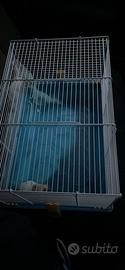 Gabbia criceto
