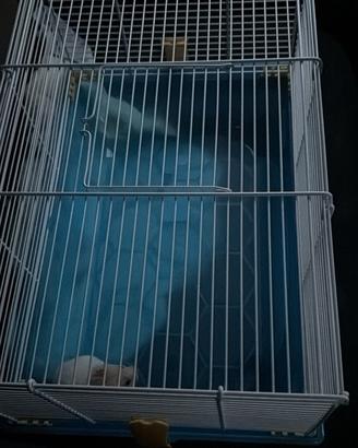 Gabbia criceto