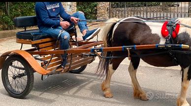 Carrozzino pony