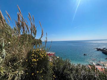 Miniappartamento vista mare - capri, marina piccol