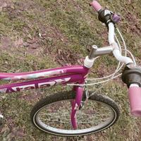 Bicicletta