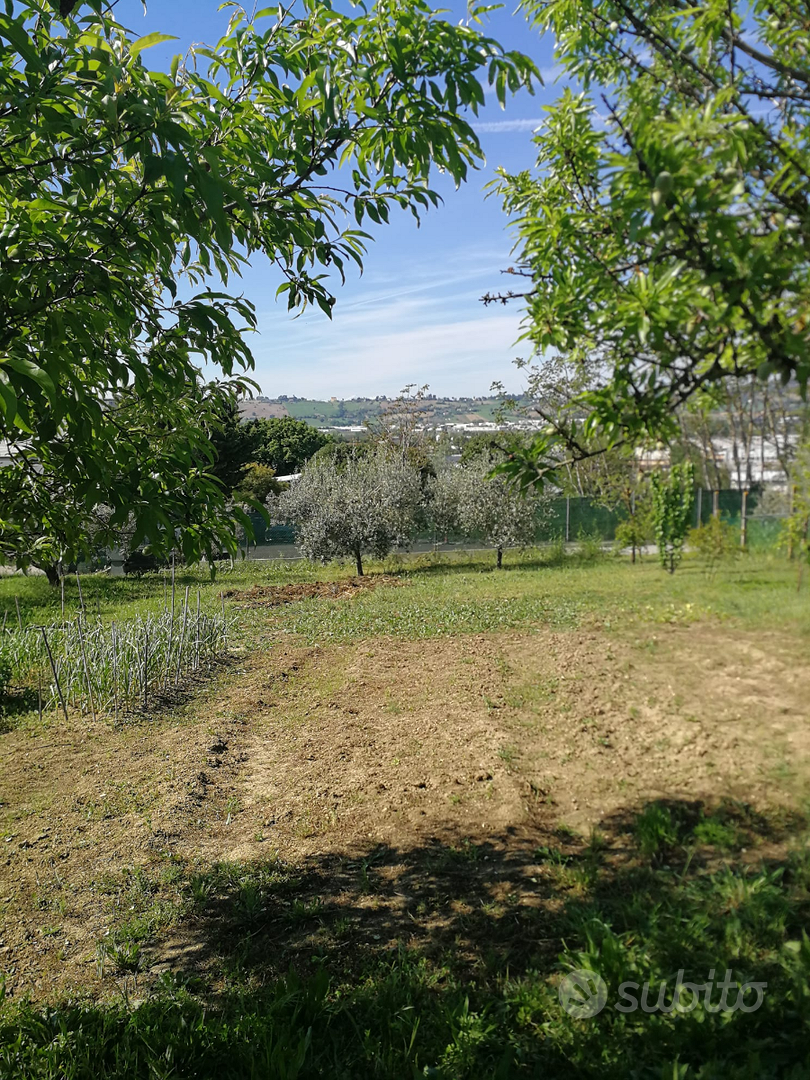 Terreno agricolo - Vista 3