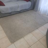 Tappeto da sala grigio-beige